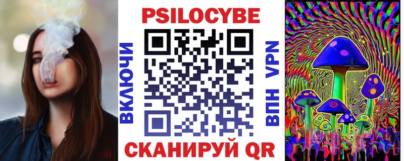 купить   Дивногорск  Псилоцибиновые грибы Psilocybe 