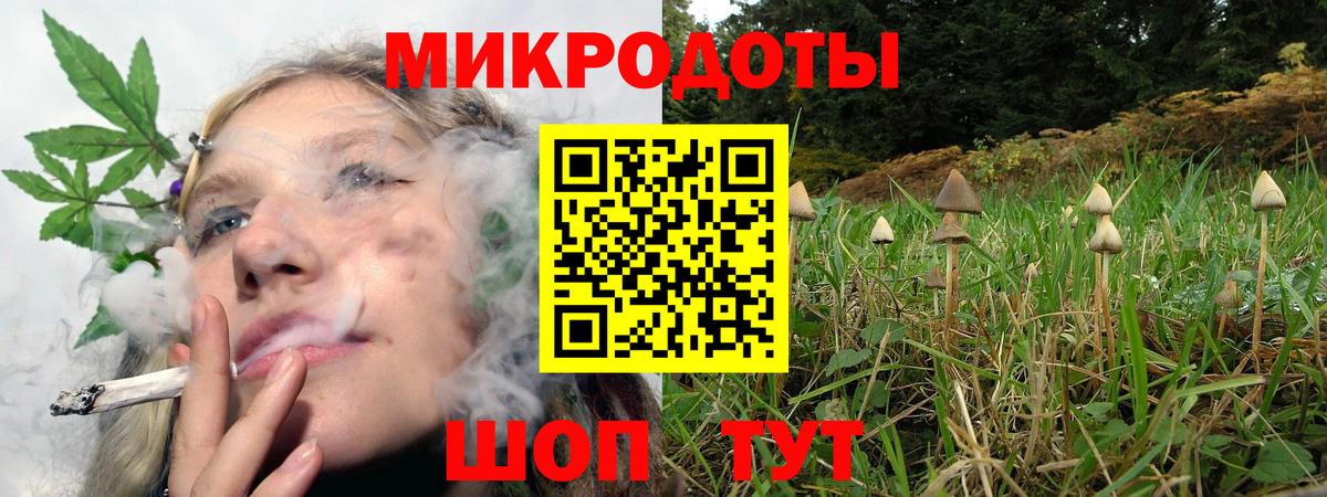 Псилоцибиновые грибы Psilocybine cubensis Дивногорск