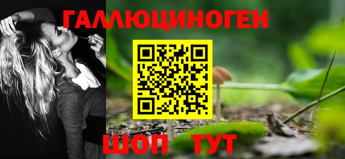 Галлюциногенные грибы мицелий  Вход с VPN  Дивногорск  Галлюциногенные грибы Magic Shrooms 