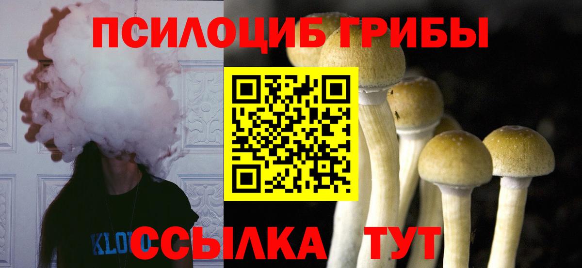 Псилоцибиновые грибы мухоморы  Дивногорск 
